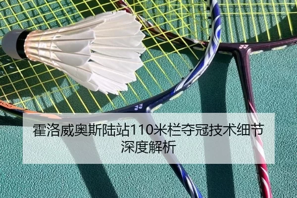 霍洛威奥斯陆站110米栏夺冠技术细节深度解析